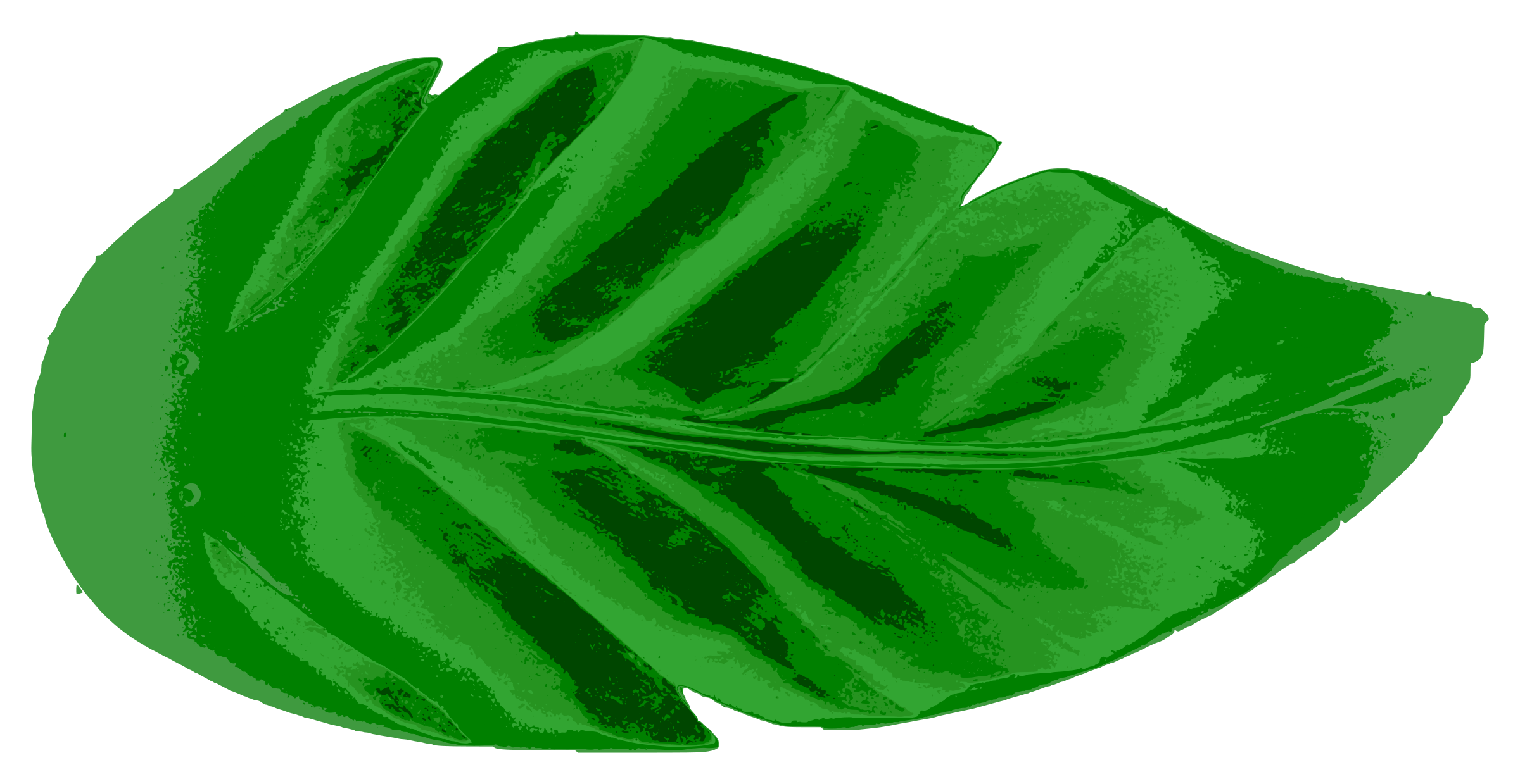 Tropical Leaves Png Tropical Leaf Png HD PNG Pictures Vhv Rs Search More Hd