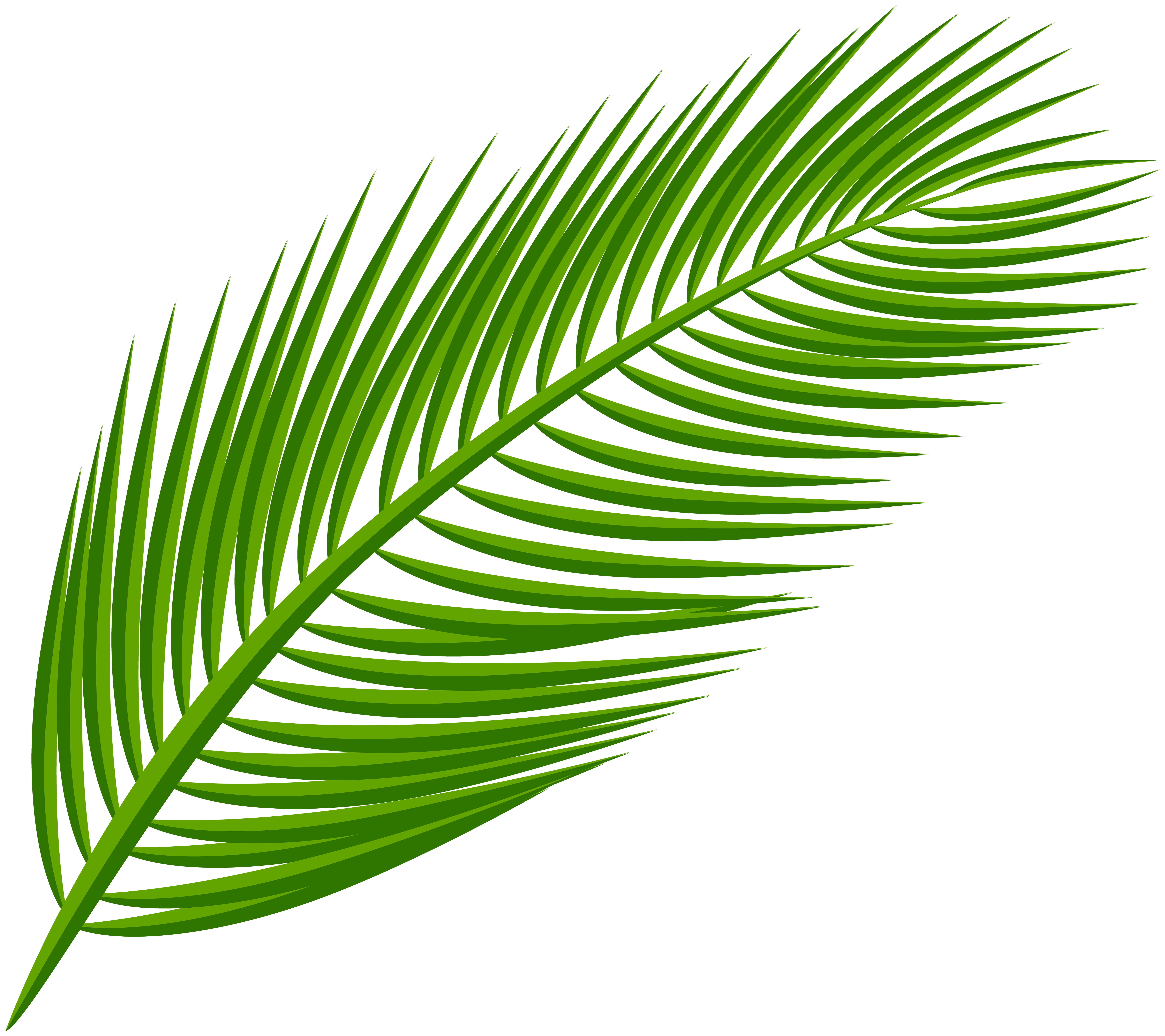 Printable Palm Leaf Clip Art Palmleaf Palm Tree Branch Clip Art