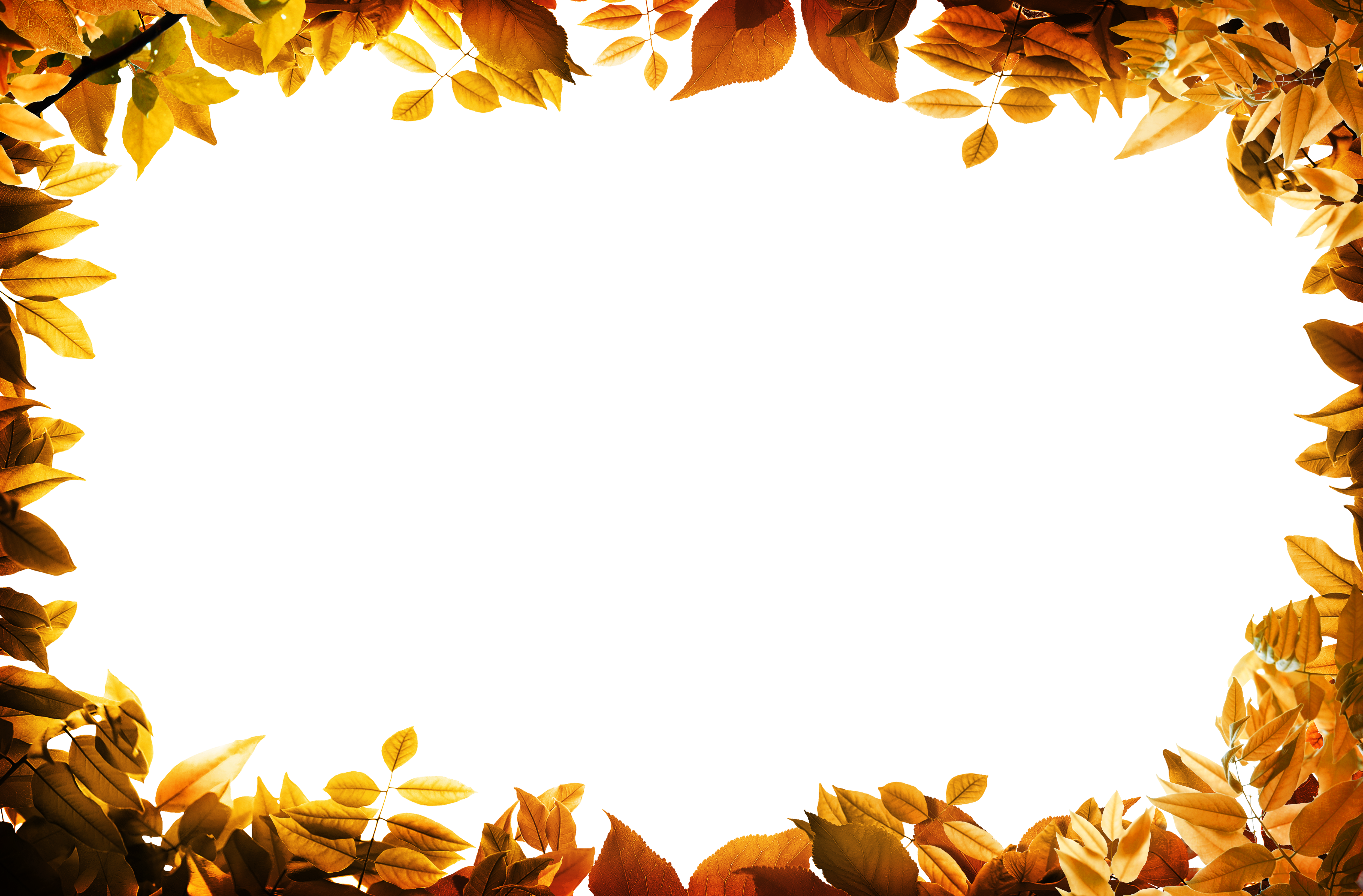 Fall Leaf Border Png Png Image Collection Sexiz Pix