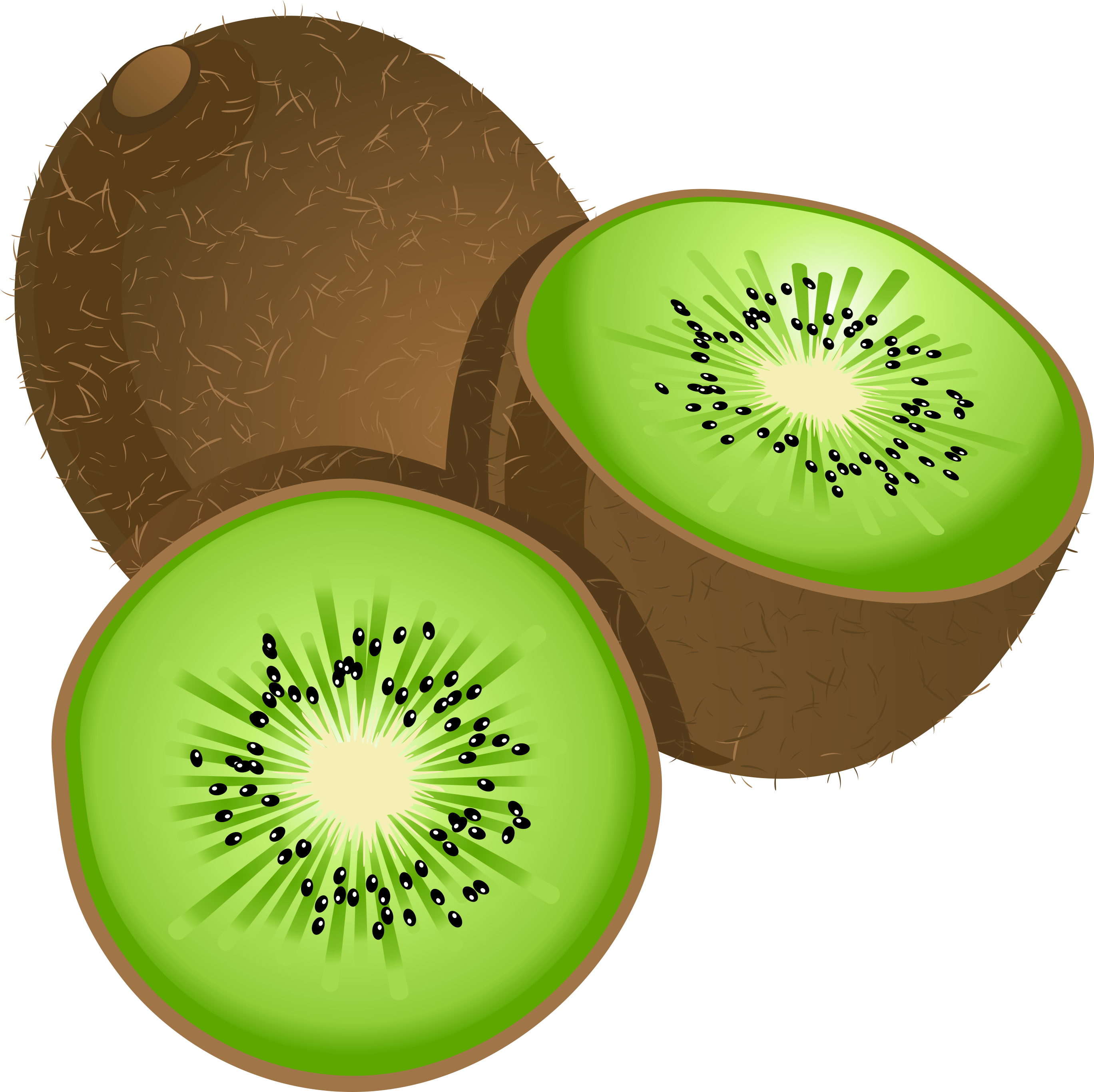 Kiwi Fruit Clipart