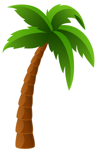 cartoon clipart palm tree