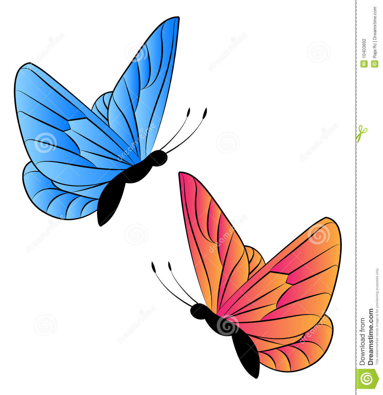 Two butterflies . 2 clipart butterfly