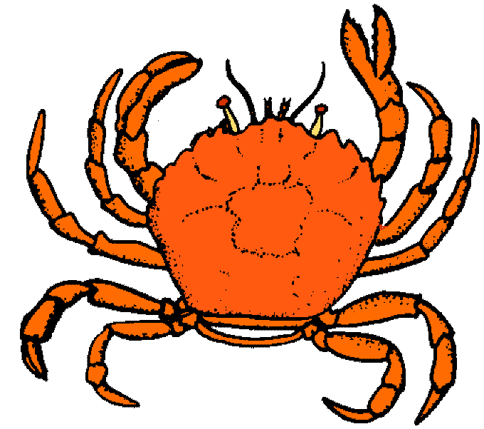crab clipart colored