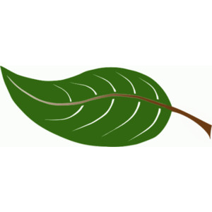 Animated leaves panda free. 2 clipart leaf