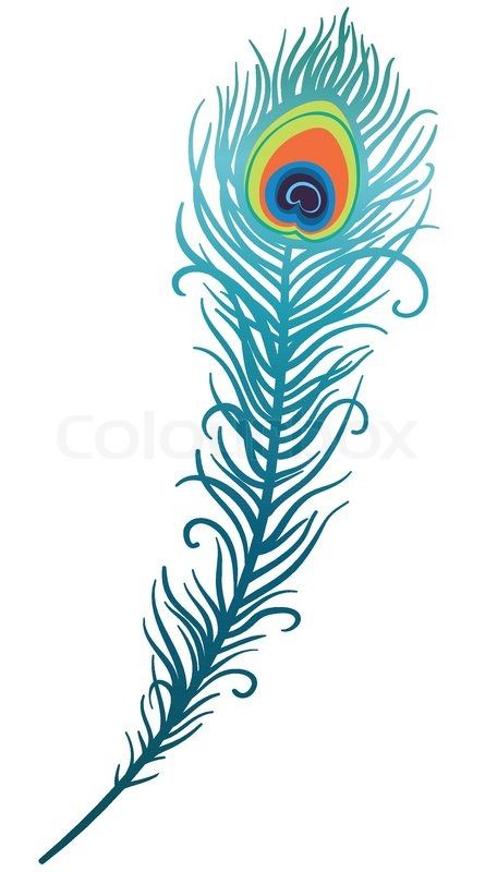 Peacock clipart fether. Feather drawing cricket pinterest