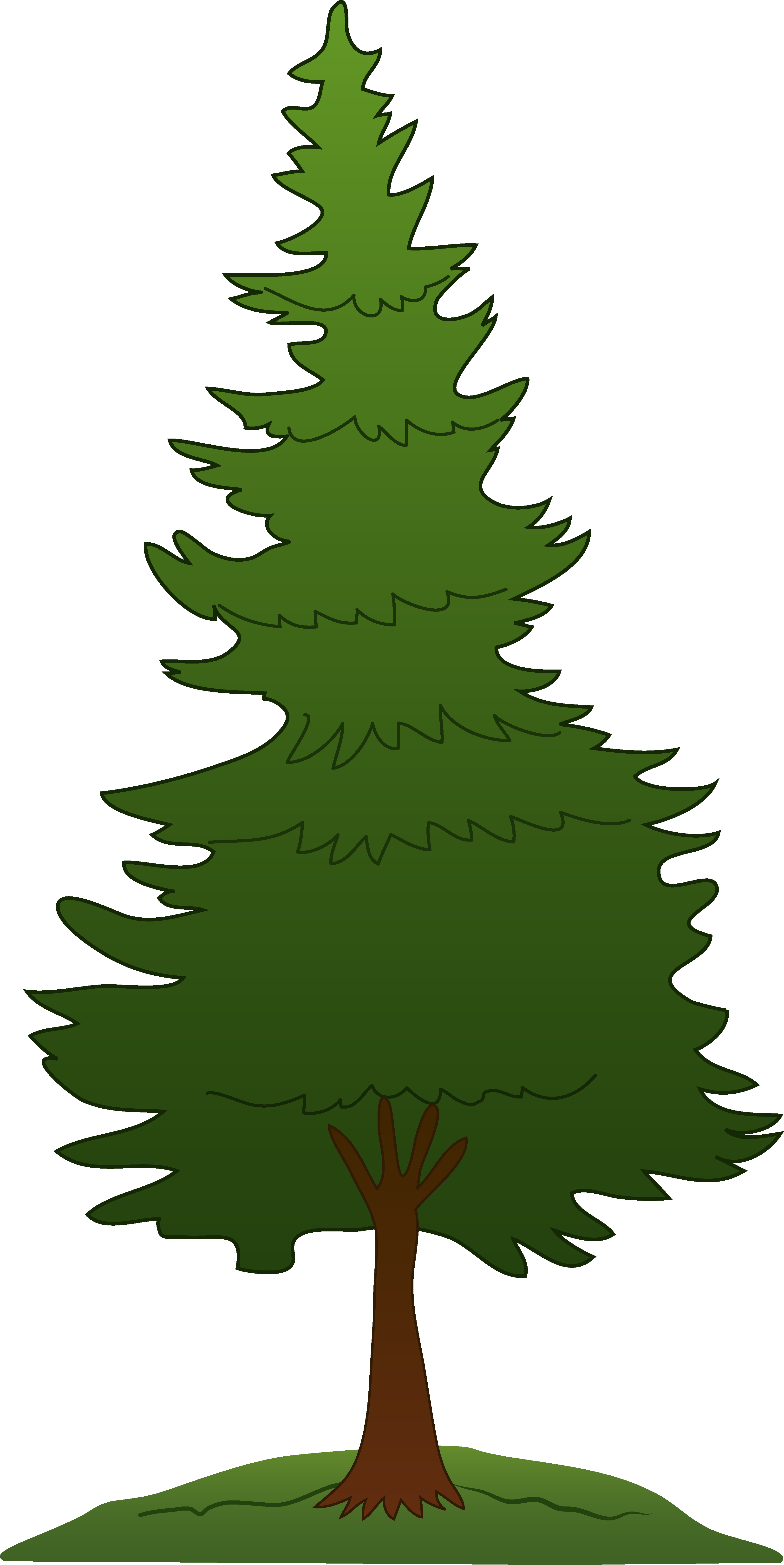 White pine tree silhouette. Night clipart forest