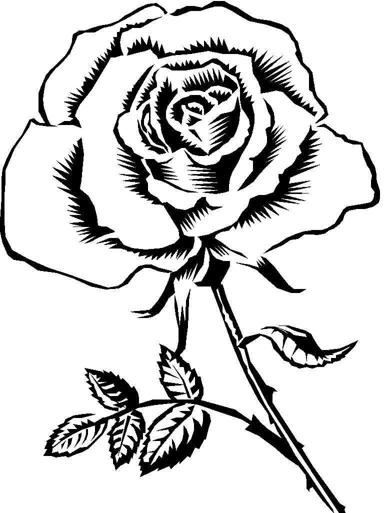 Knumathise images. Clipart rose black and white