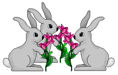 Rabbit clip art groups. 3 clipart bunny