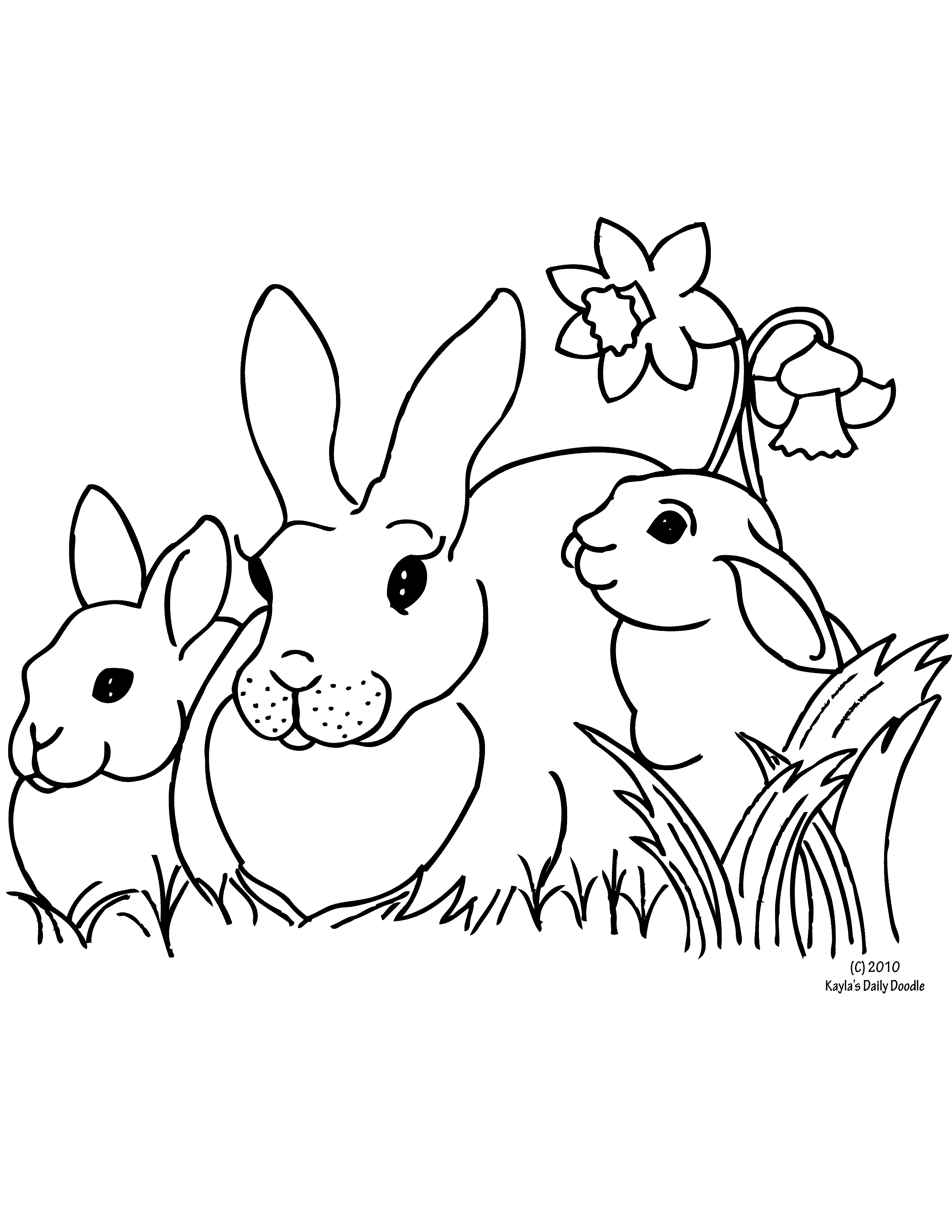 3 clipart bunny. Rabbit daffodil 