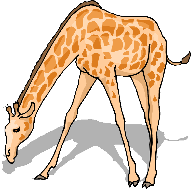 Clipart giraffe tall thing. Free 