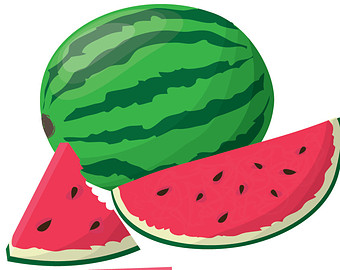 Station . Watermelon clipart watermelom
