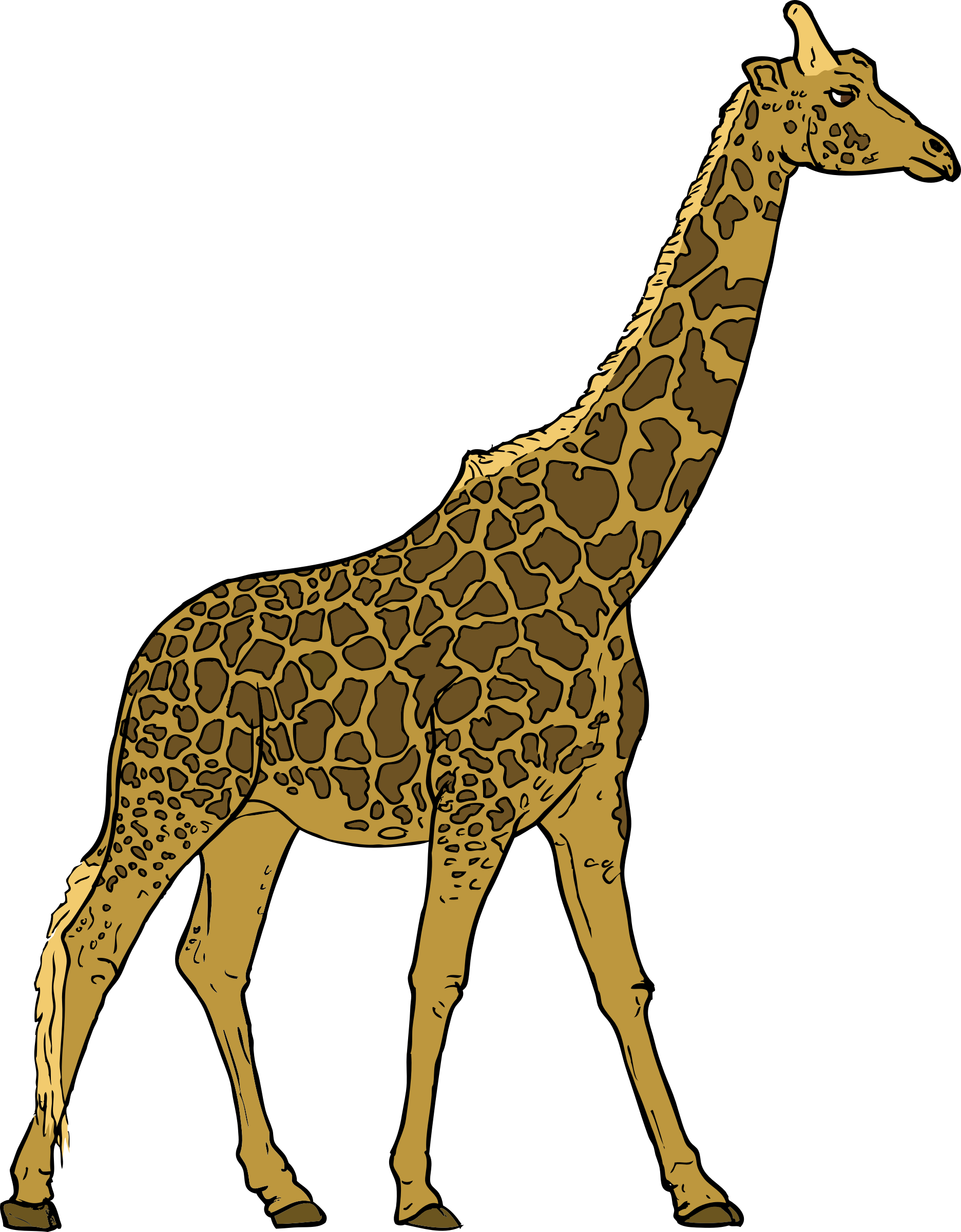 . 4 clipart giraffe