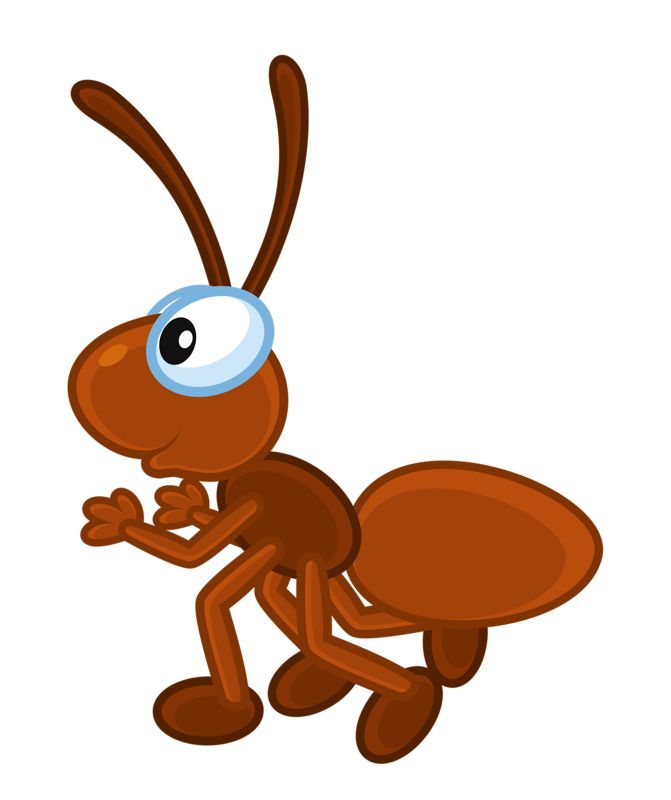 5 clipart ant