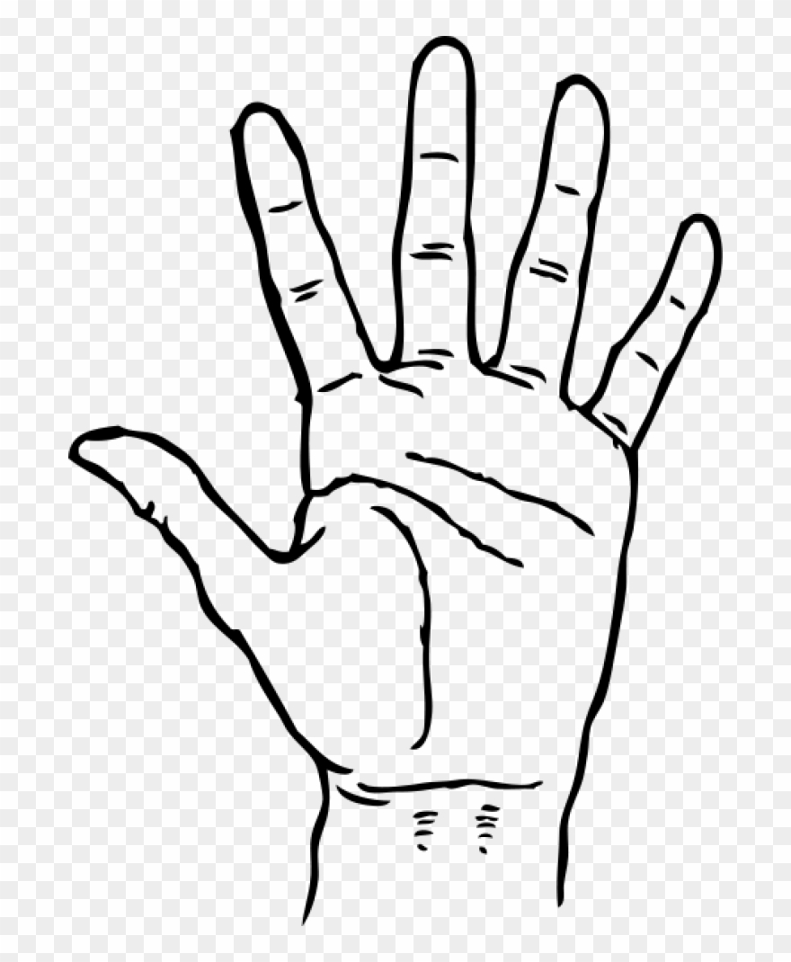 Fingers clipart nice hand. And white five clip