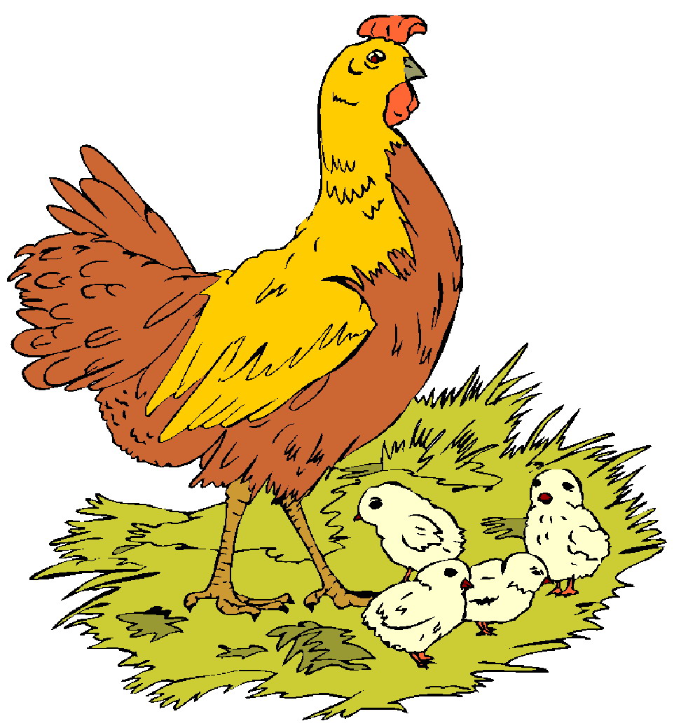 All about chickens kiddyhouse. Barn clipart chicken