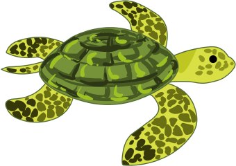 5 clipart sea turtle