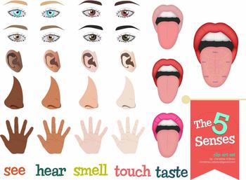 5 senses clipart. The five clip art