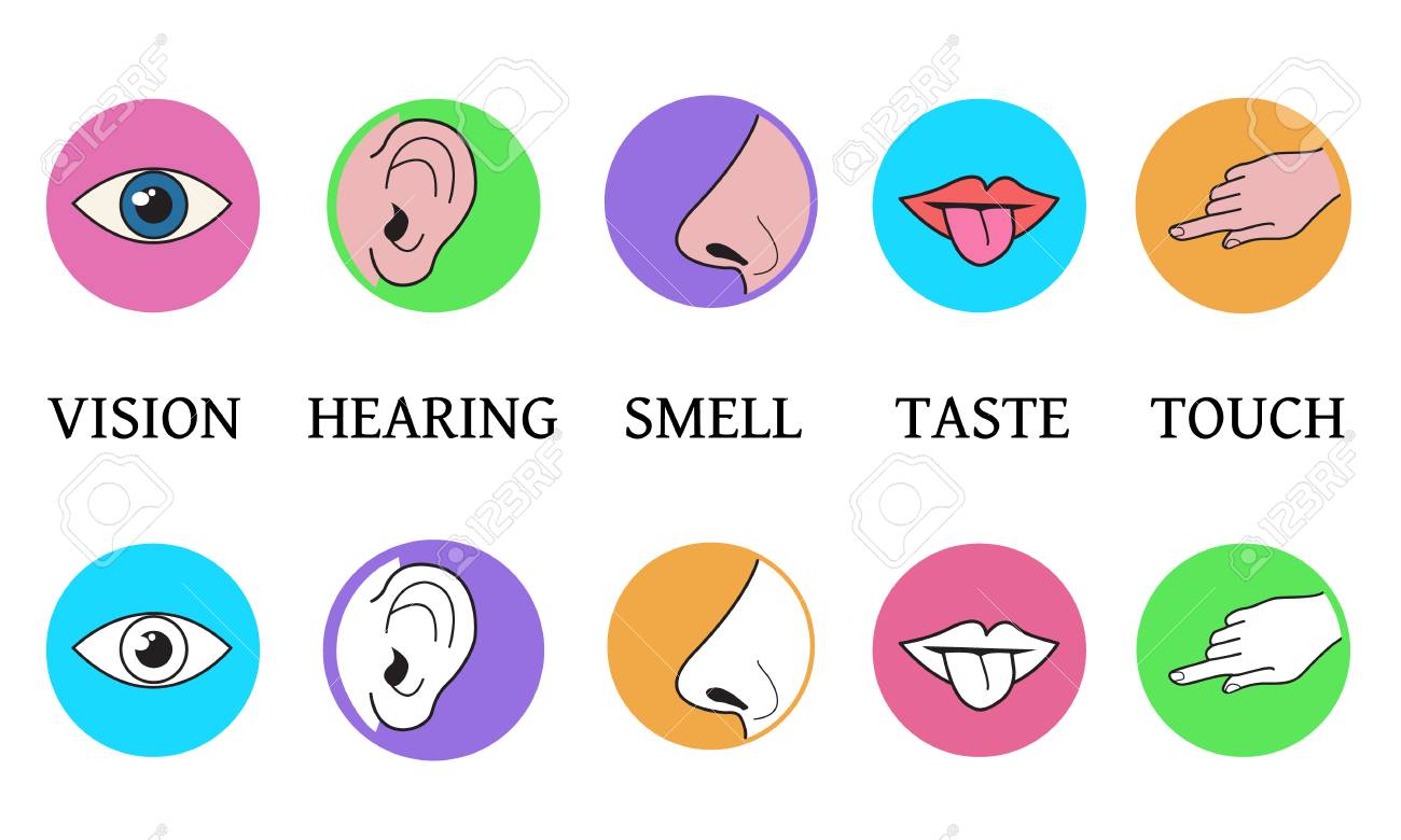 5 Senses Clipart 5 Senses Transparent FREE For Download On 