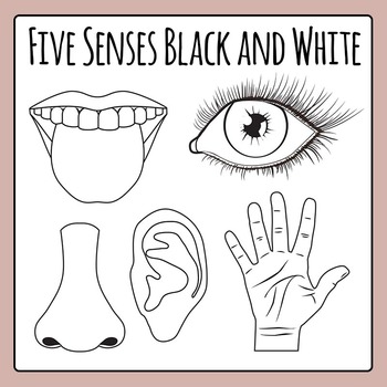 5 senses clipart black and white