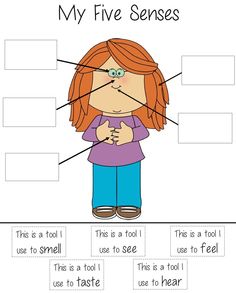 My five flipbook kindergarten. 5 senses clipart body