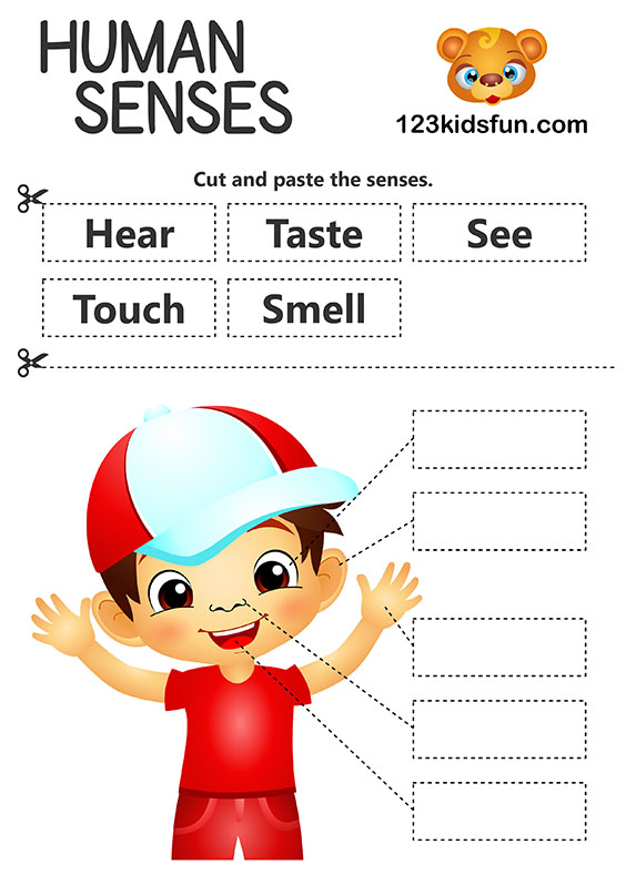 5 senses clipart body. Human printables homeschooling kids