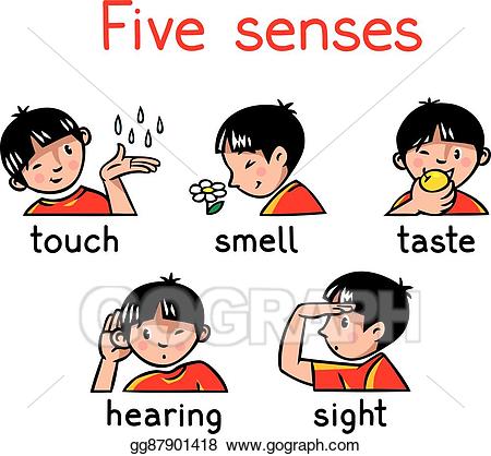 Vector illustration five icon. 5 senses clipart cartoon