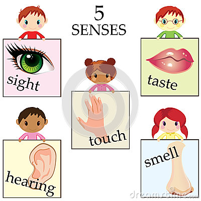 5 senses clipart cartoon.  clip art clipartlook