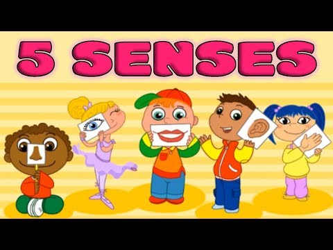 Five taste smell sight. 5 senses clipart children's