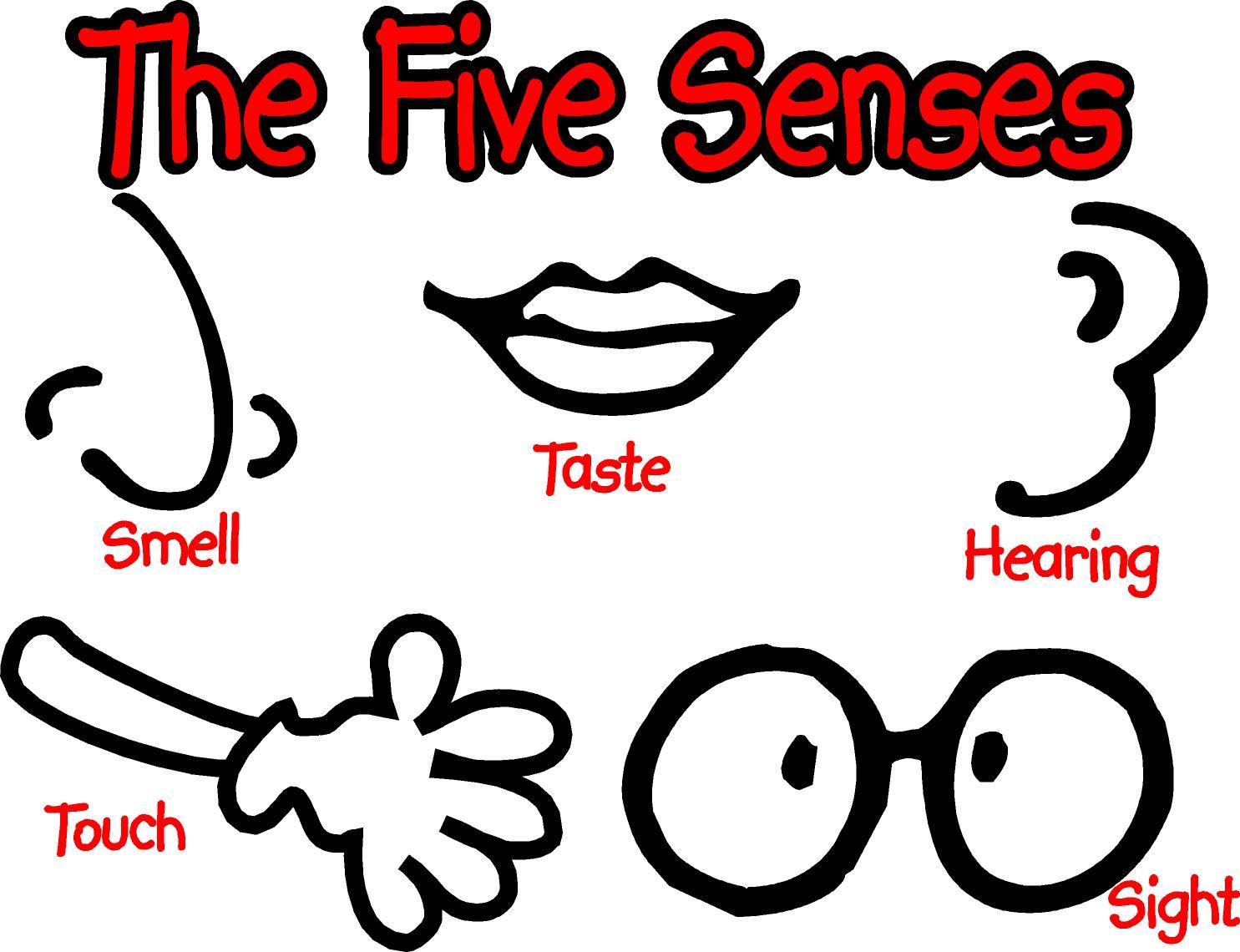 Appealing on library of. 5 senses clipart clip art
