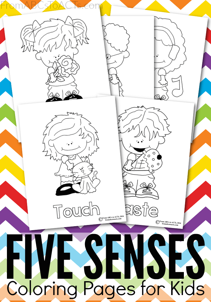 5 senses clipart coloring page. Five printable pages from