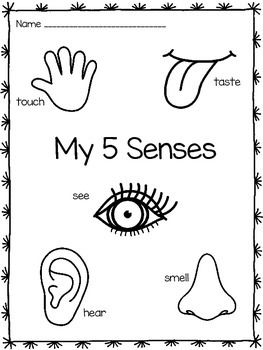5 senses clipart coloring page. Five pages school this
