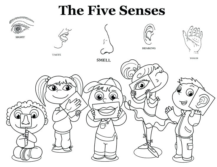 Five pages darach info. 5 senses clipart coloring page