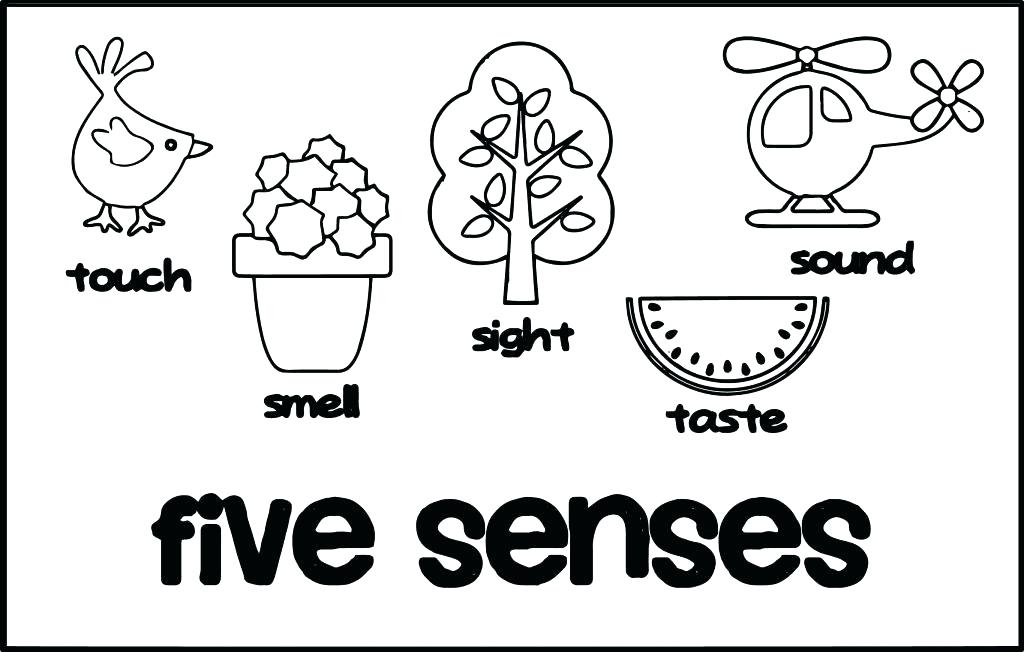 5 senses clipart coloring page. The five pages sheets