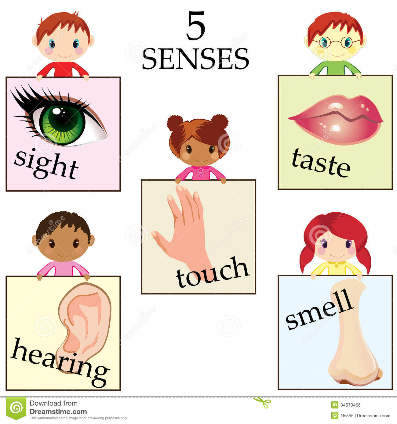 5 senses clipart cute.  collection of sense