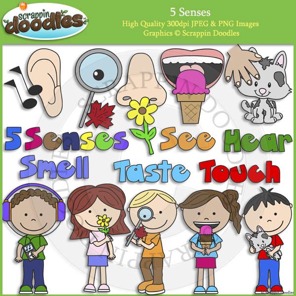 5 senses clipart cute