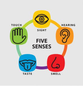 5 senses clipart five senses. Use your to prevent