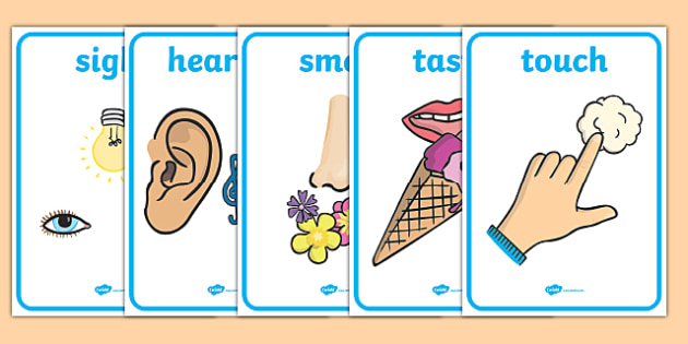Five display posters smell. 5 senses clipart grade 1