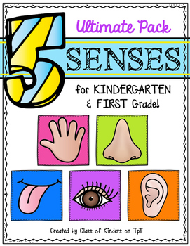 Five ultimate pack for. 5 senses clipart grade 1