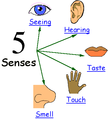 5 senses clipart hand. Free cliparts download clip