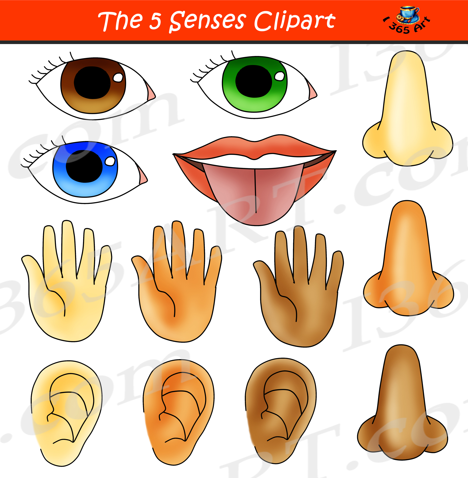  bundle graphic set. 5 senses clipart hand