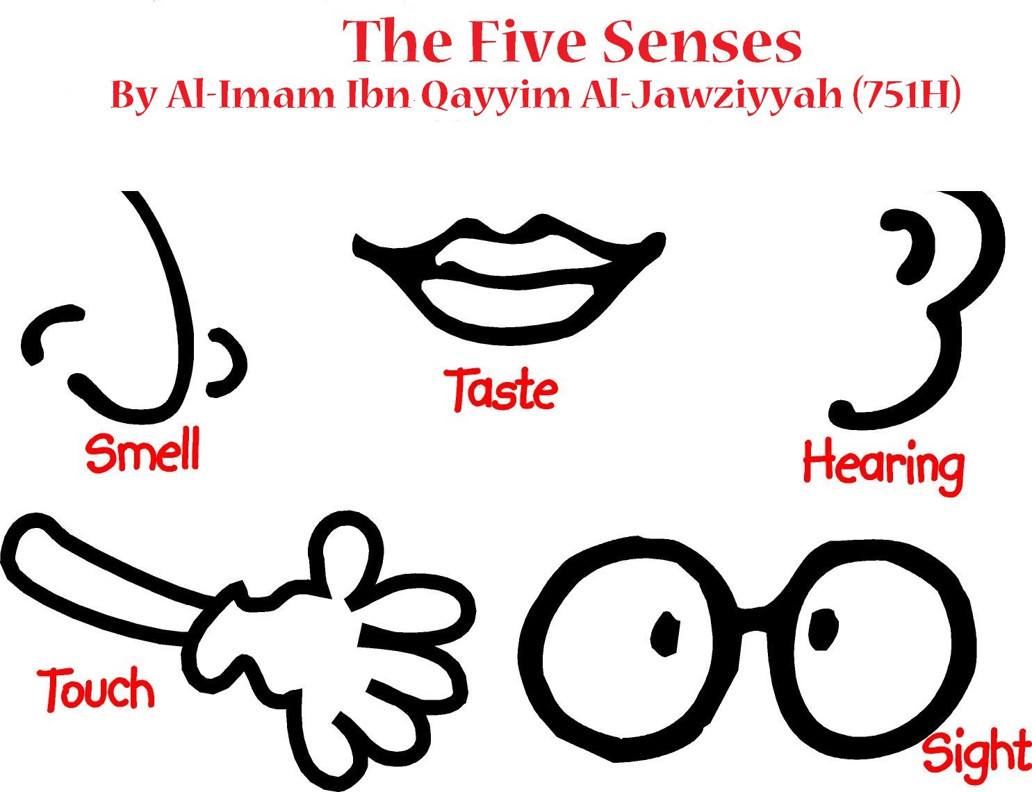 The five by imam. 5 senses clipart human
