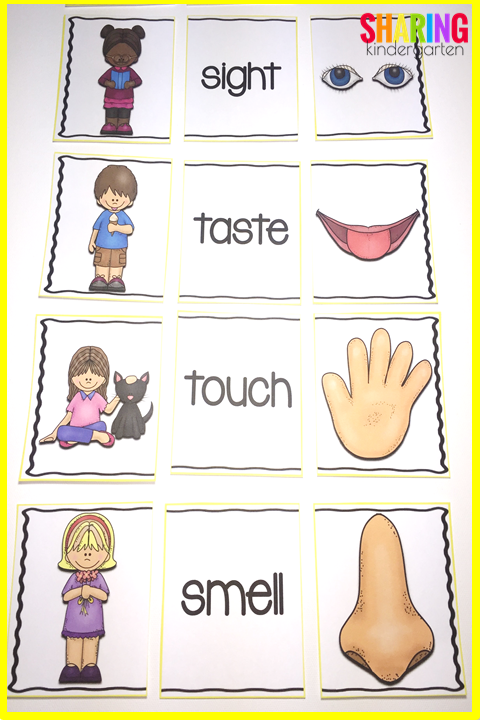 5 senses clipart kindergarten. Five sharing 