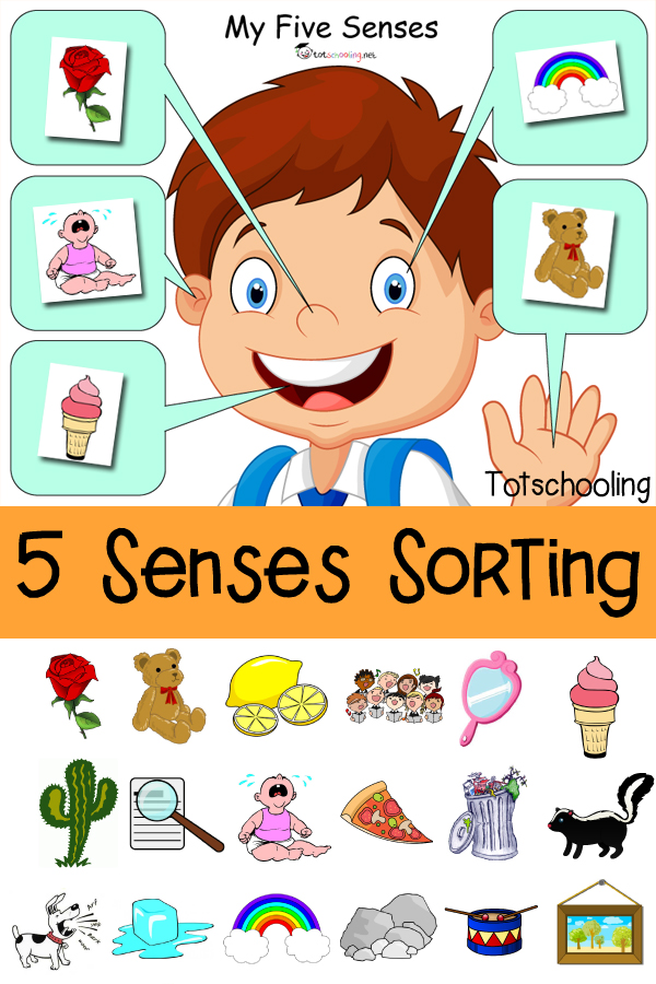 Five sorting printable totschooling. 5 senses clipart kindergarten