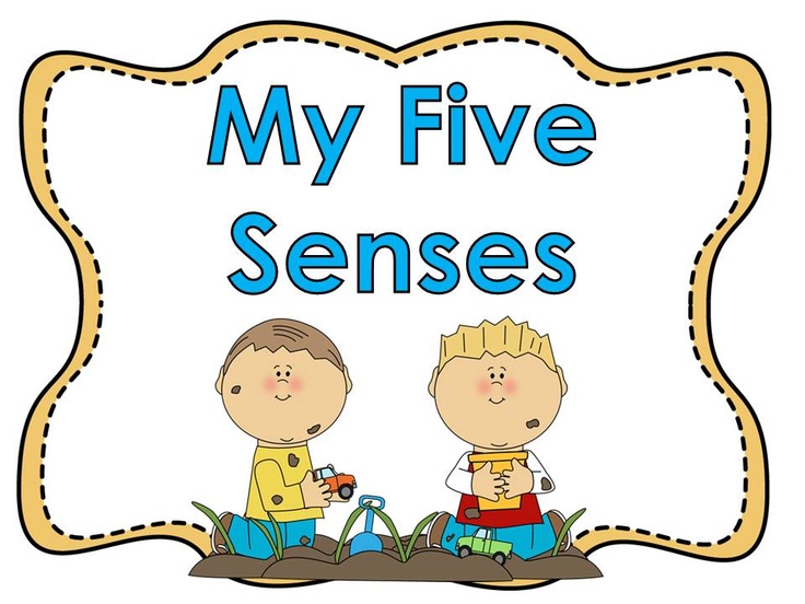 5 senses clipart kindergarten.  best five images