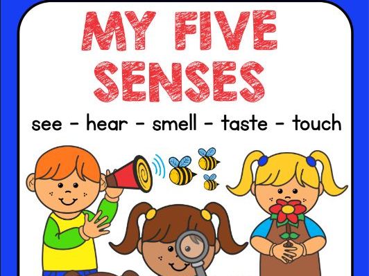 5 senses clipart kindergarten.  workbook activities