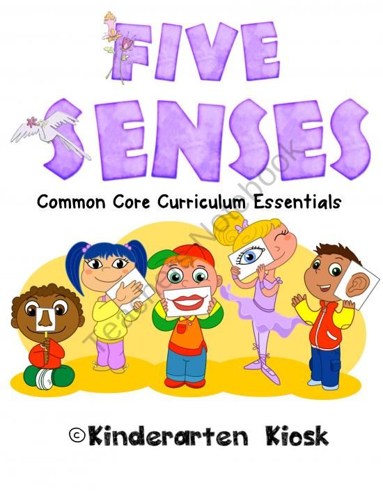5 senses clipart kindergarten.  best five ideas