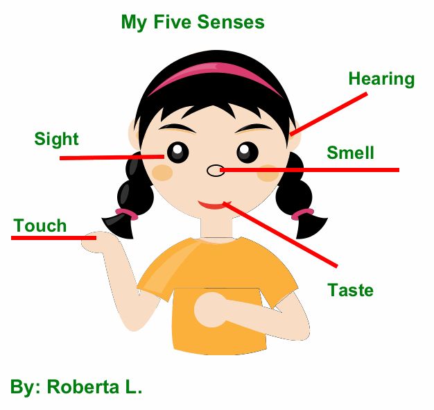 5 senses clipart labeling