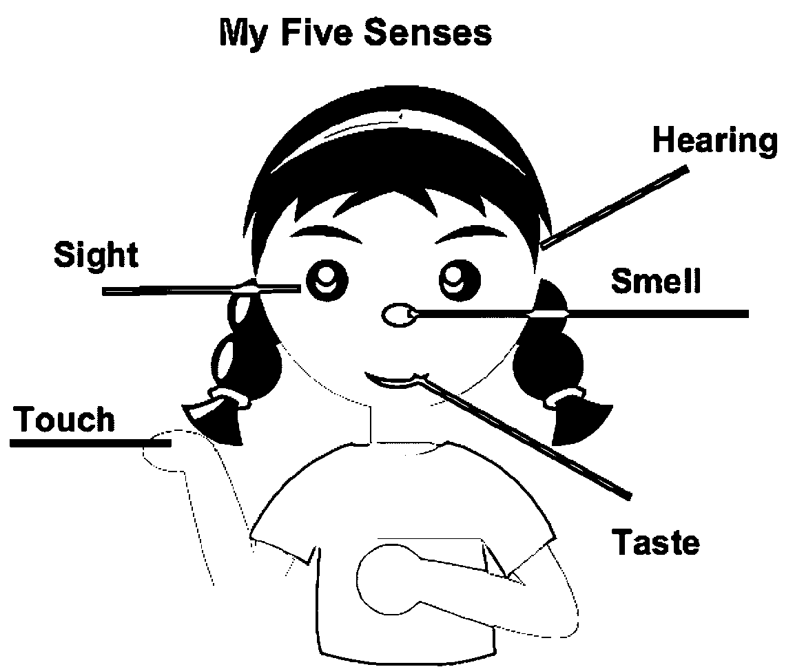 5 senses clipart labeling