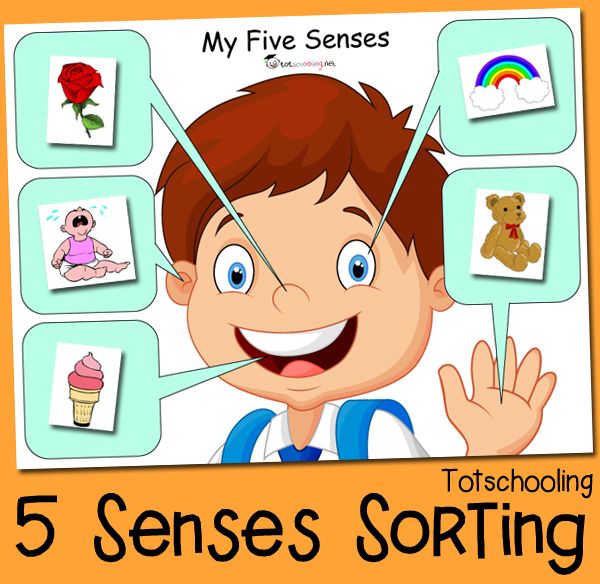  best five images. 5 senses clipart mindful