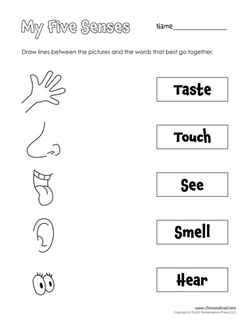 5 senses clipart pdf